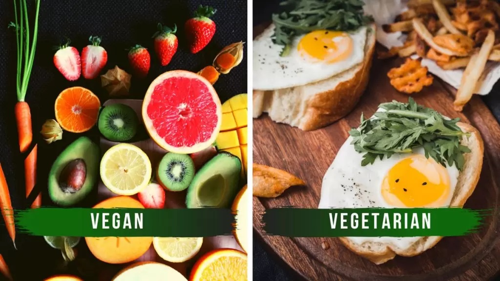 Care este diferenta dintre vegan si vegetarian?