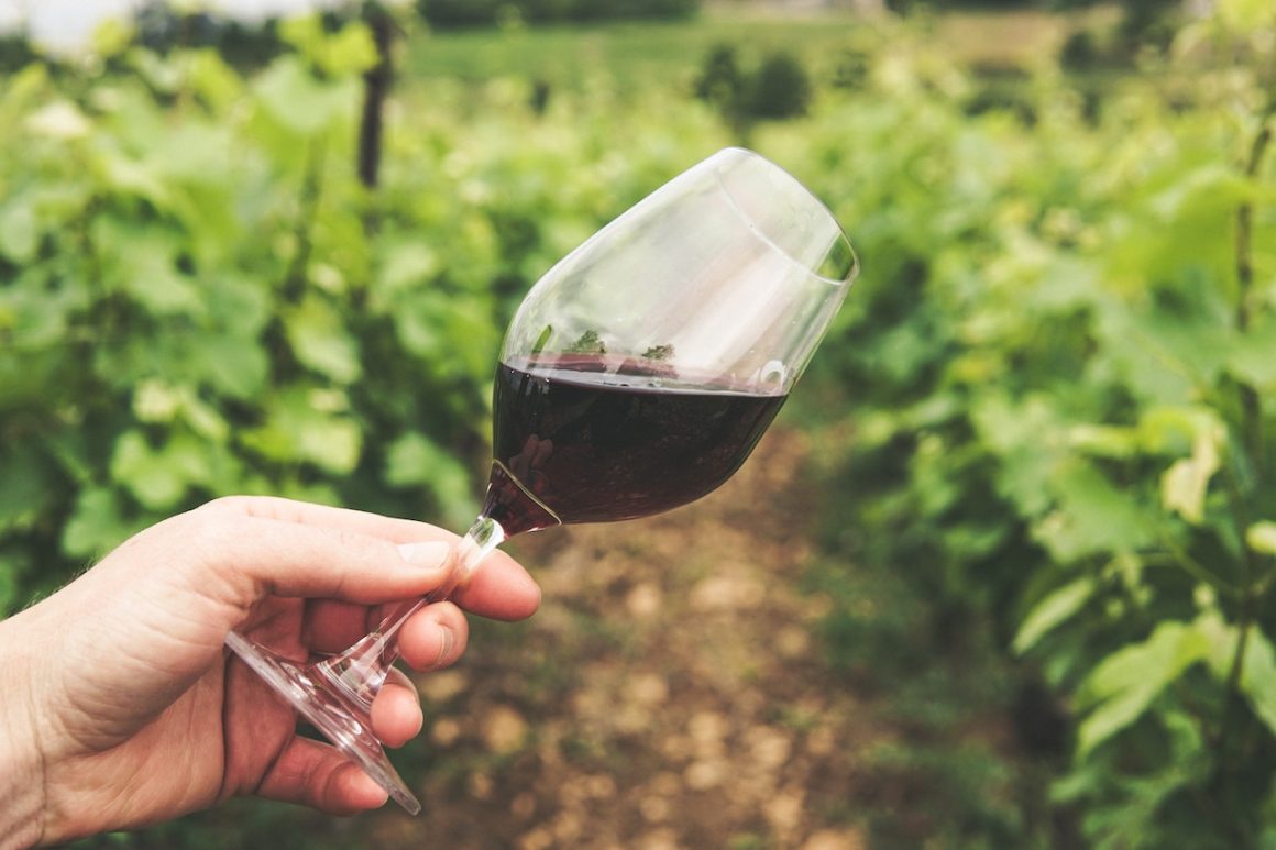 7 Factori care influenteaza culoarea vinului