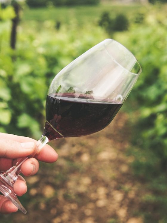 7 Factori care influenteaza culoarea vinului